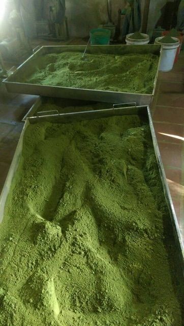 Bột trà xanh Thái Nguyên gói 100g