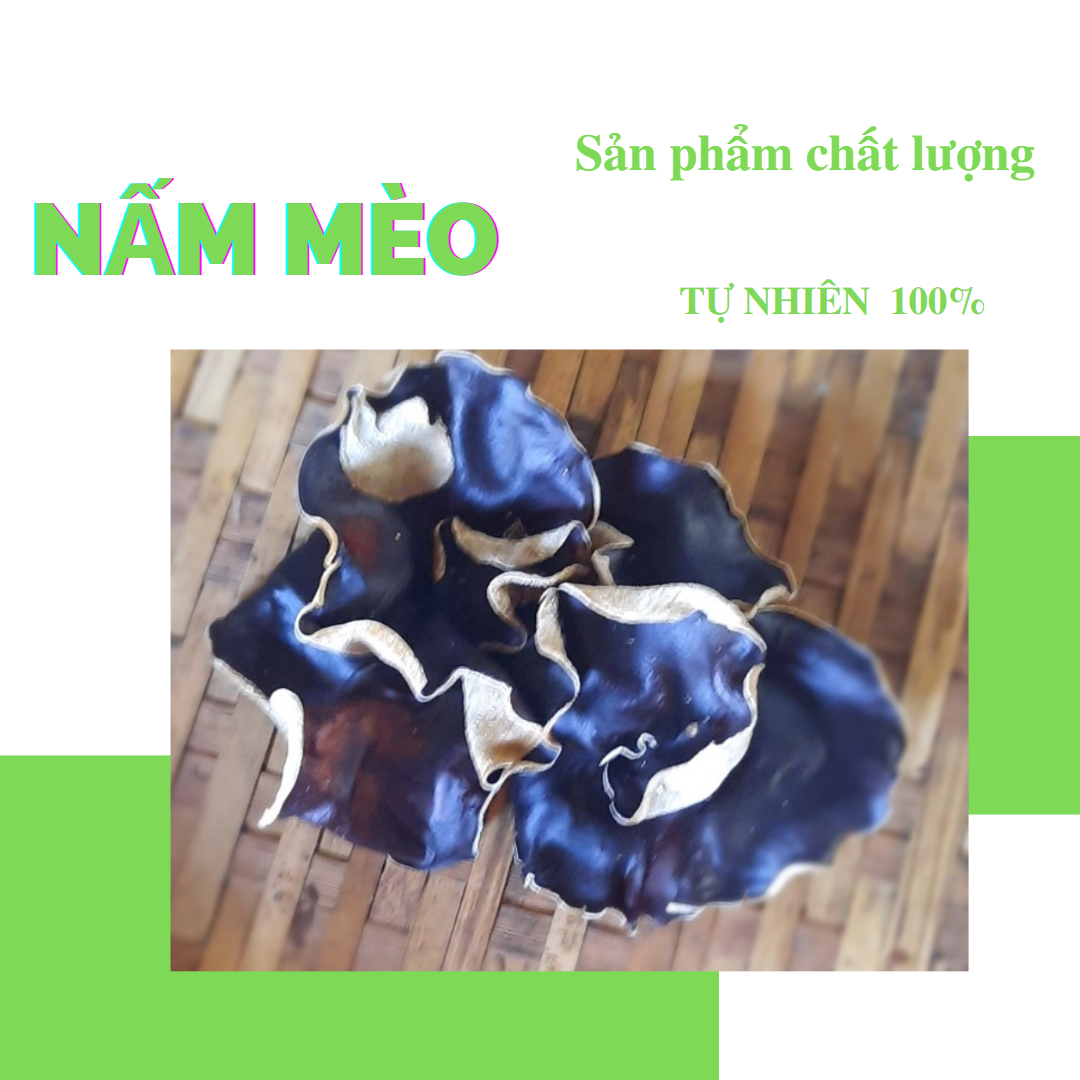 wood ear mushroom