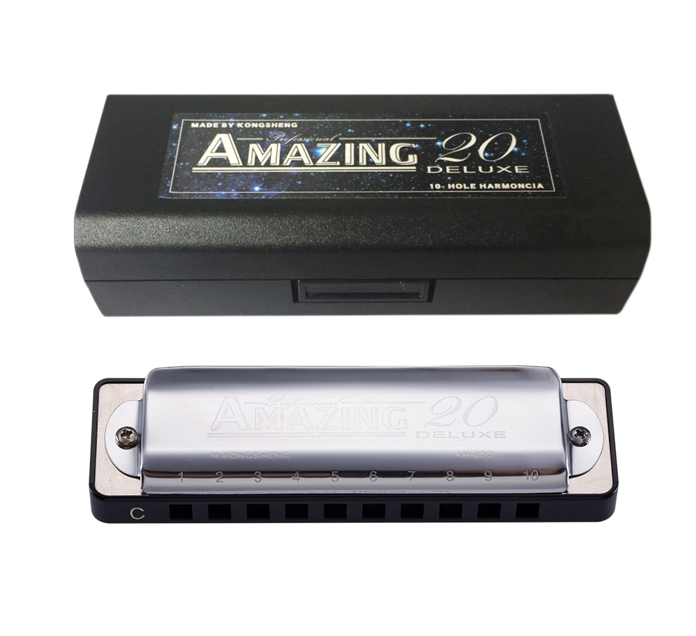 KongSheng Diatonic Harmonica 10 lỗ Blues Harp cho người mới bắt đầu đen bạc Miệng Organ Key của CDEFgABB với trường hợp