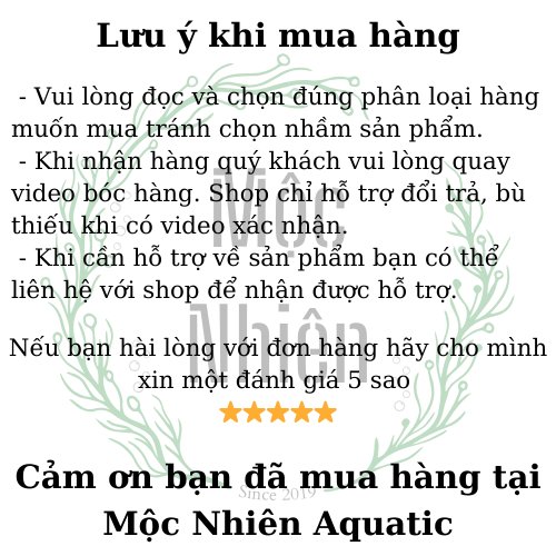 Đầu chia oxi chữ T - Mộc Nhiên Aquatic
