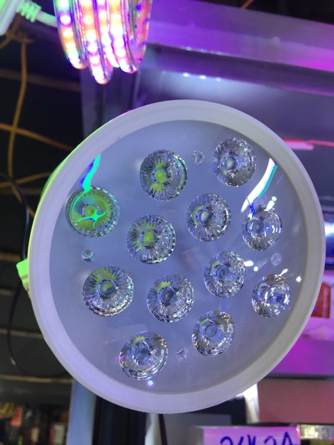 Đèn Rọi Thanh Ray, Đèn Rọi Ray Led 12W
