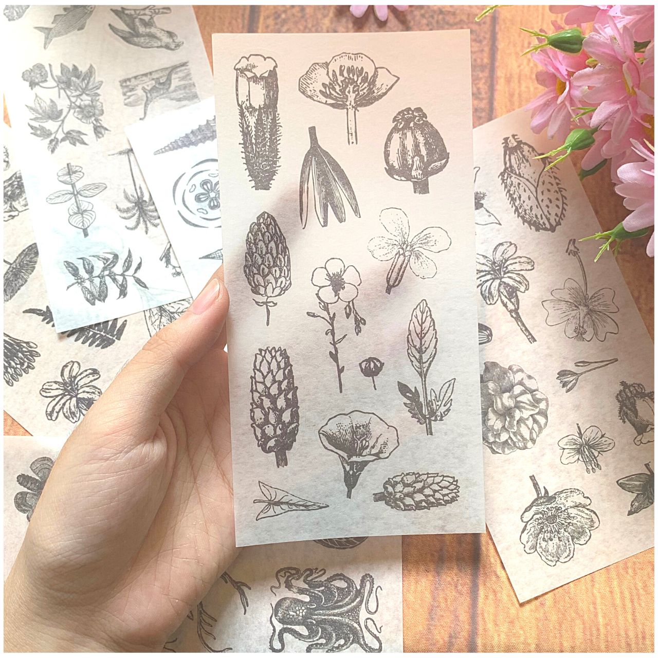 [HCM]Bộ 6 Tấm Sticker Hoa Cổ