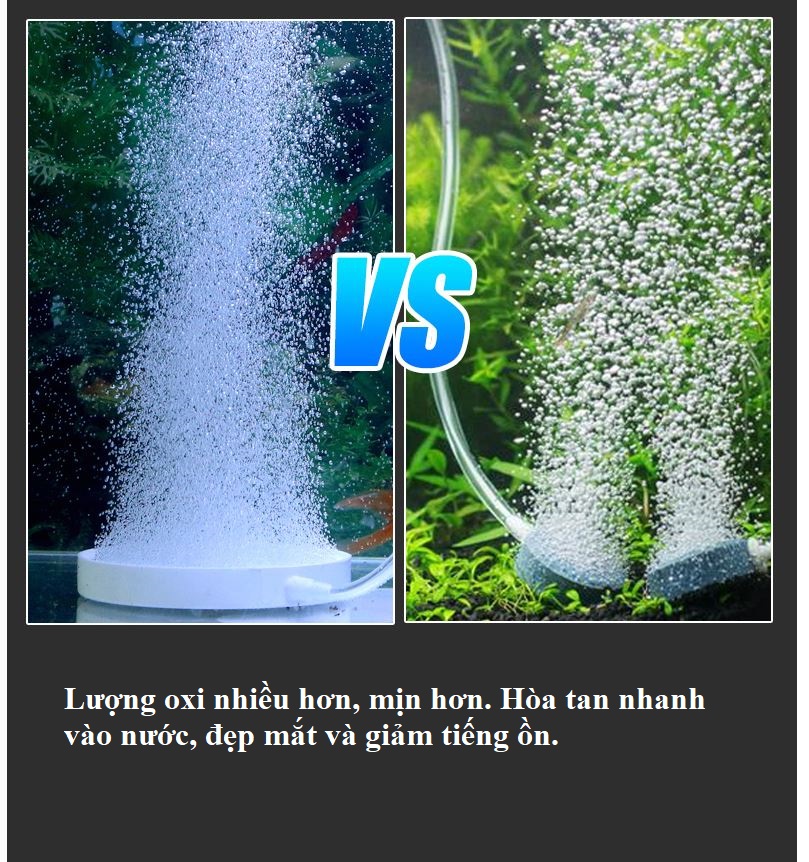 Đầu sủi oxi hình dĩa siêu mịn jeneca (tặng phụ kiện)