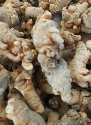 Củ Tam Thất Bắc Khô 100g ( loại 5 củ )