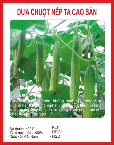 Combo 8 gói hạt giống dưa dễ trồng các loại - (TẶNG gói kích thích hỗ trợ hạt nảy mầm)