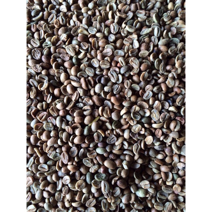 NHÂN CÀ PHÊ MOKA CHƯA RANG (500G)