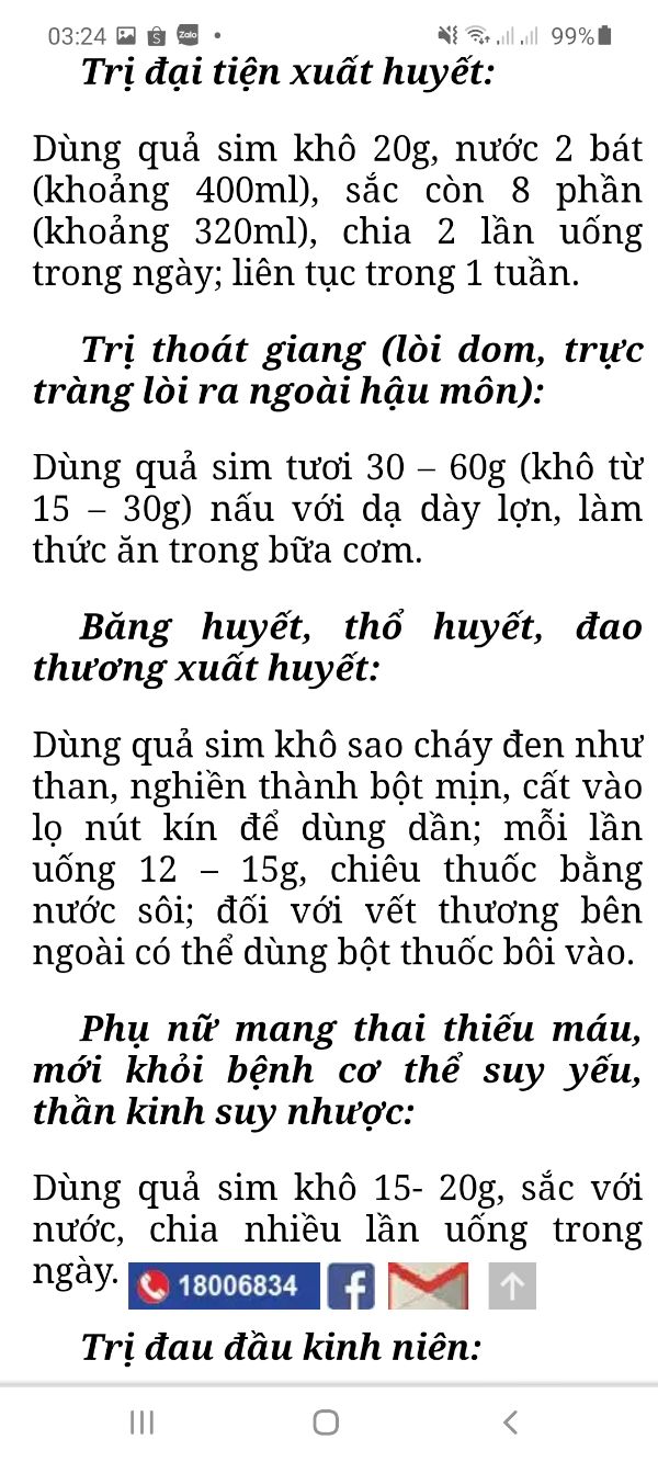 Sim ăn quả cây nhỡ