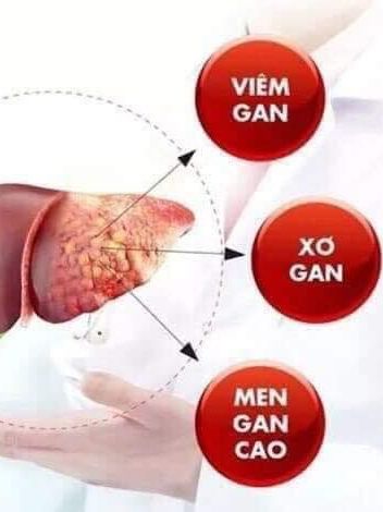Thanh Nhiệt thảo dược chè Thái Bình