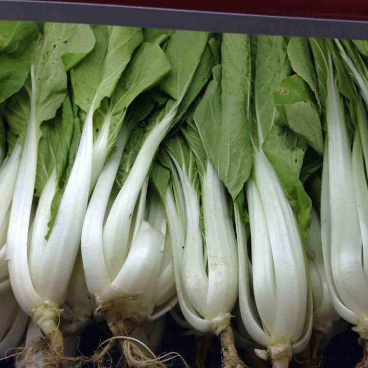 HẠT GIỐNG CẢI BẸ TRẮNG - 10GR