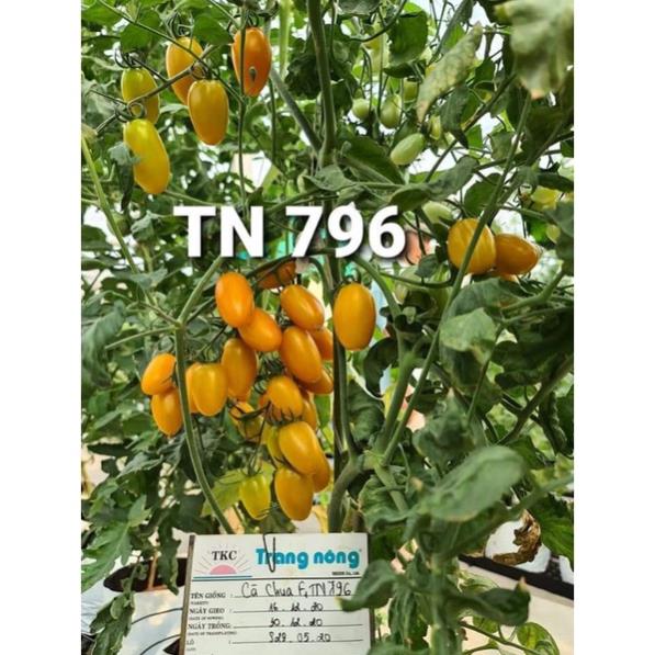 HẠT GIỐNG CÀ CHUA TRÁI CÂY NOVA