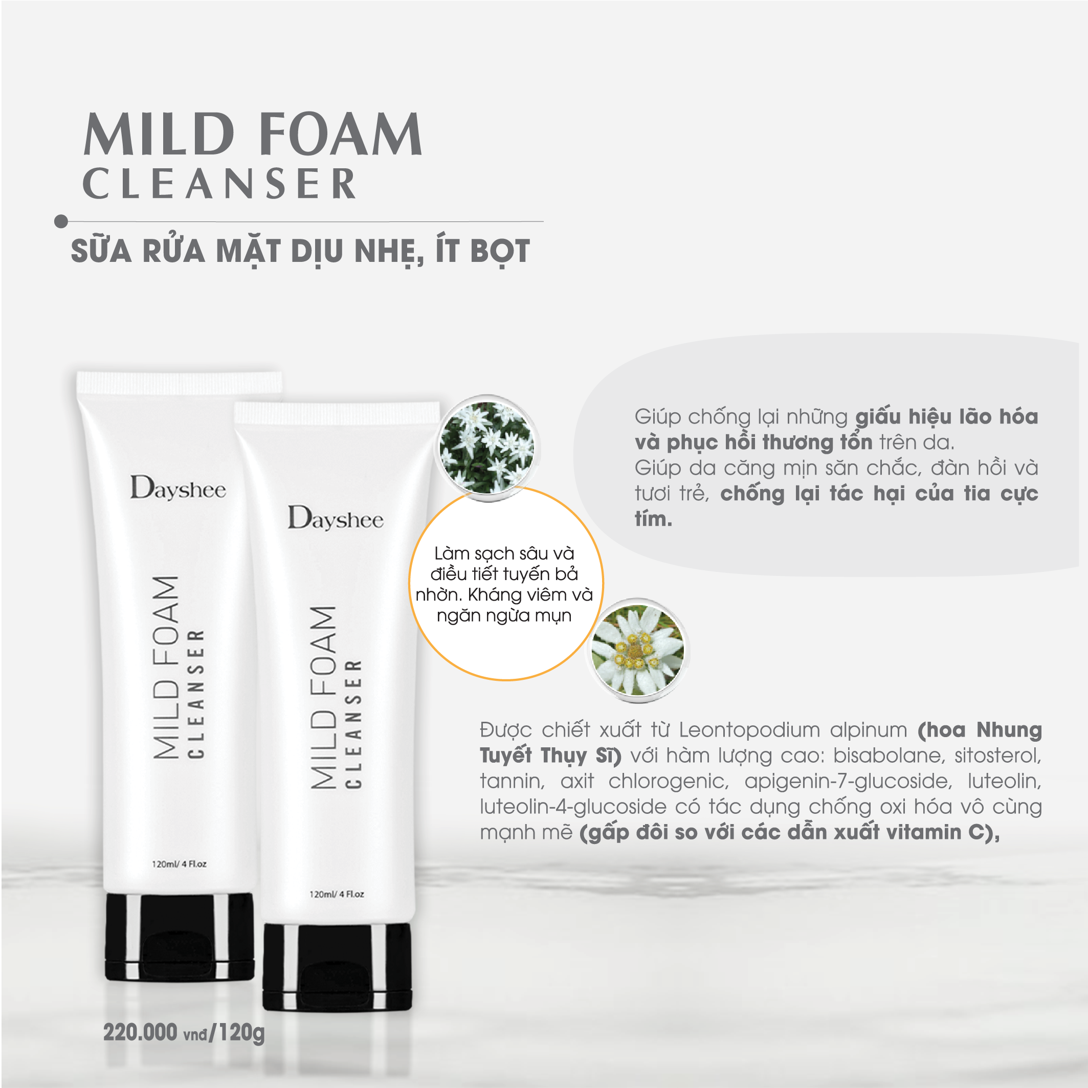 Dayshee Sữa Rửa Mặt Dịu Nhẹ Ít Bọt Mild Foam Cleanser 120ml