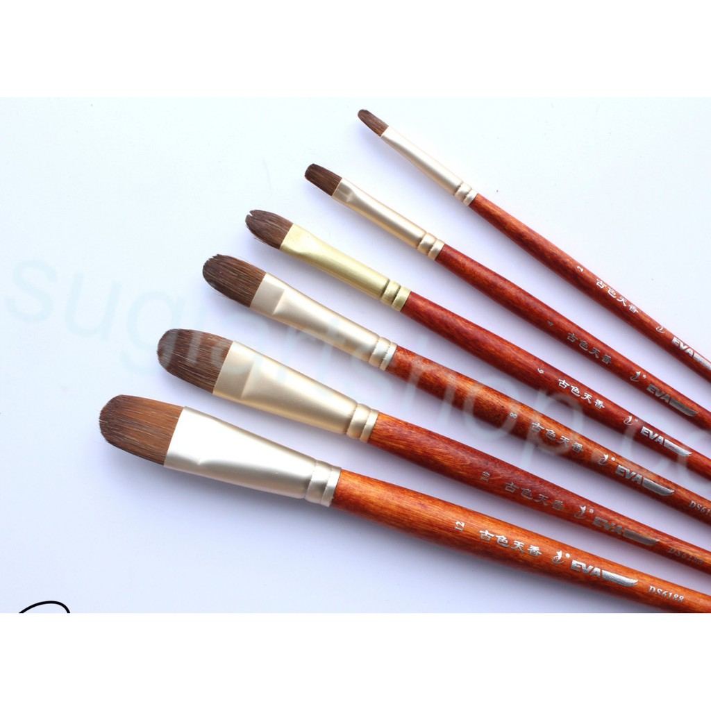 Bộ cọ Eval 6188, 6 cây đầu oval