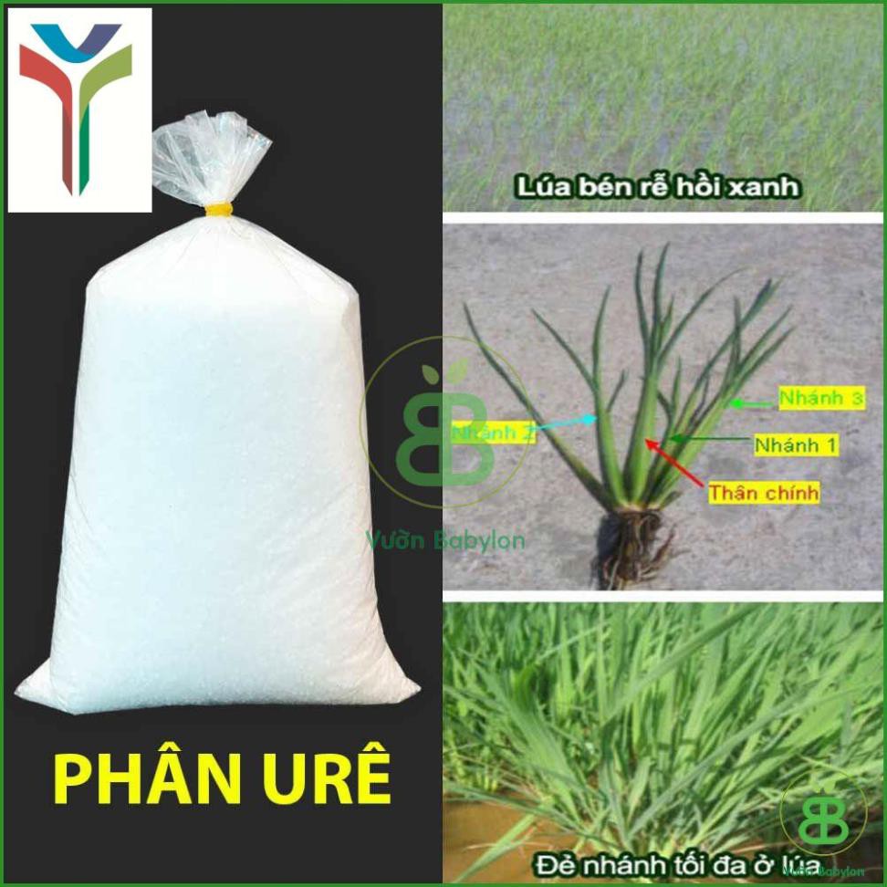 Phân Ure (Đạm) 1kg