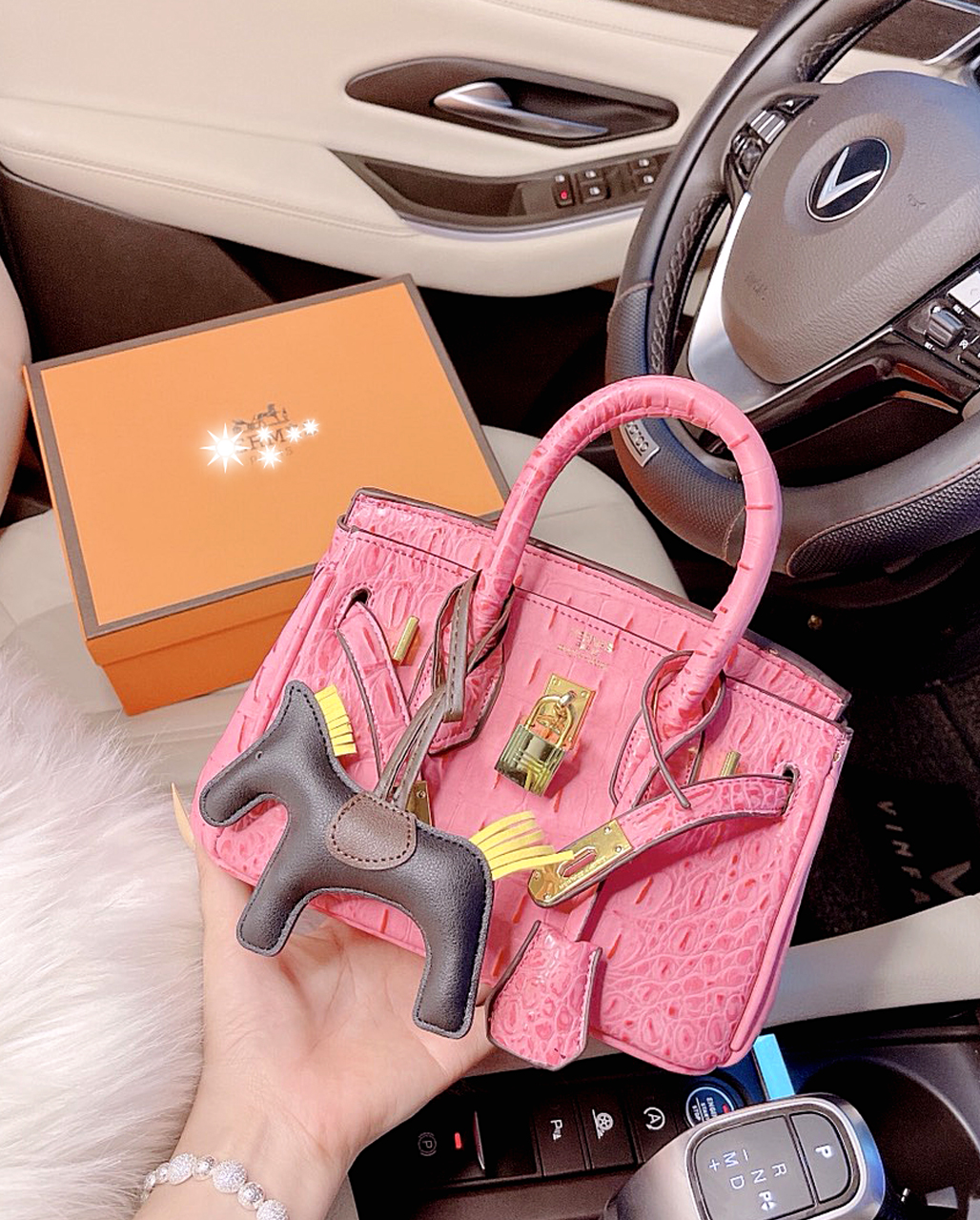 Túi Xách Hm Birkin Vân Cá Xấu Cực HOT