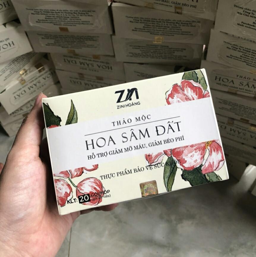 Combo 2 hộp trà Hoa Sâm Đất Zn