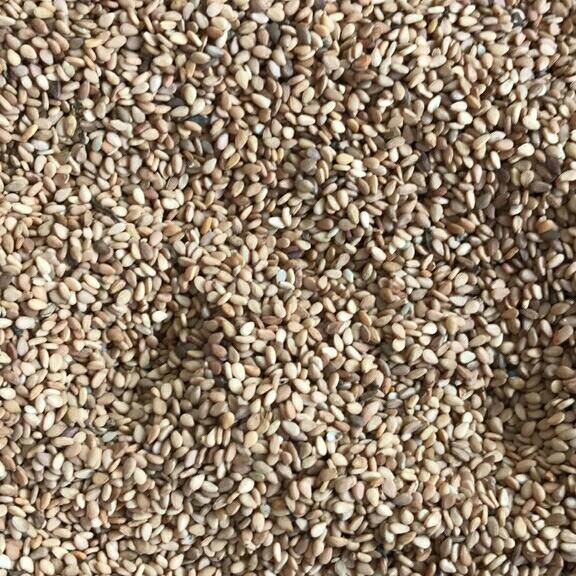 1kg vừng trắng