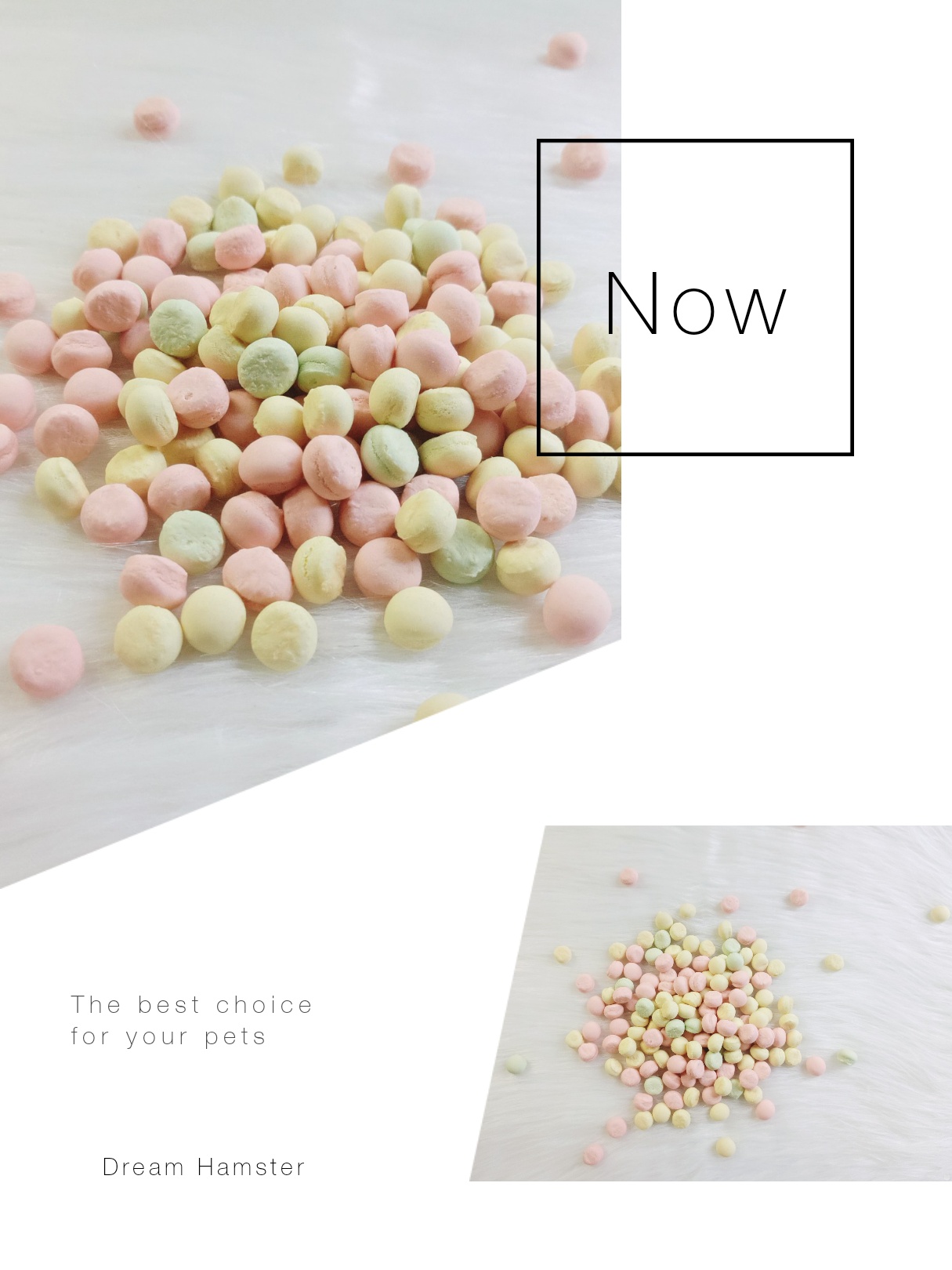 Bánh bột sữa cho hamster (50gr)