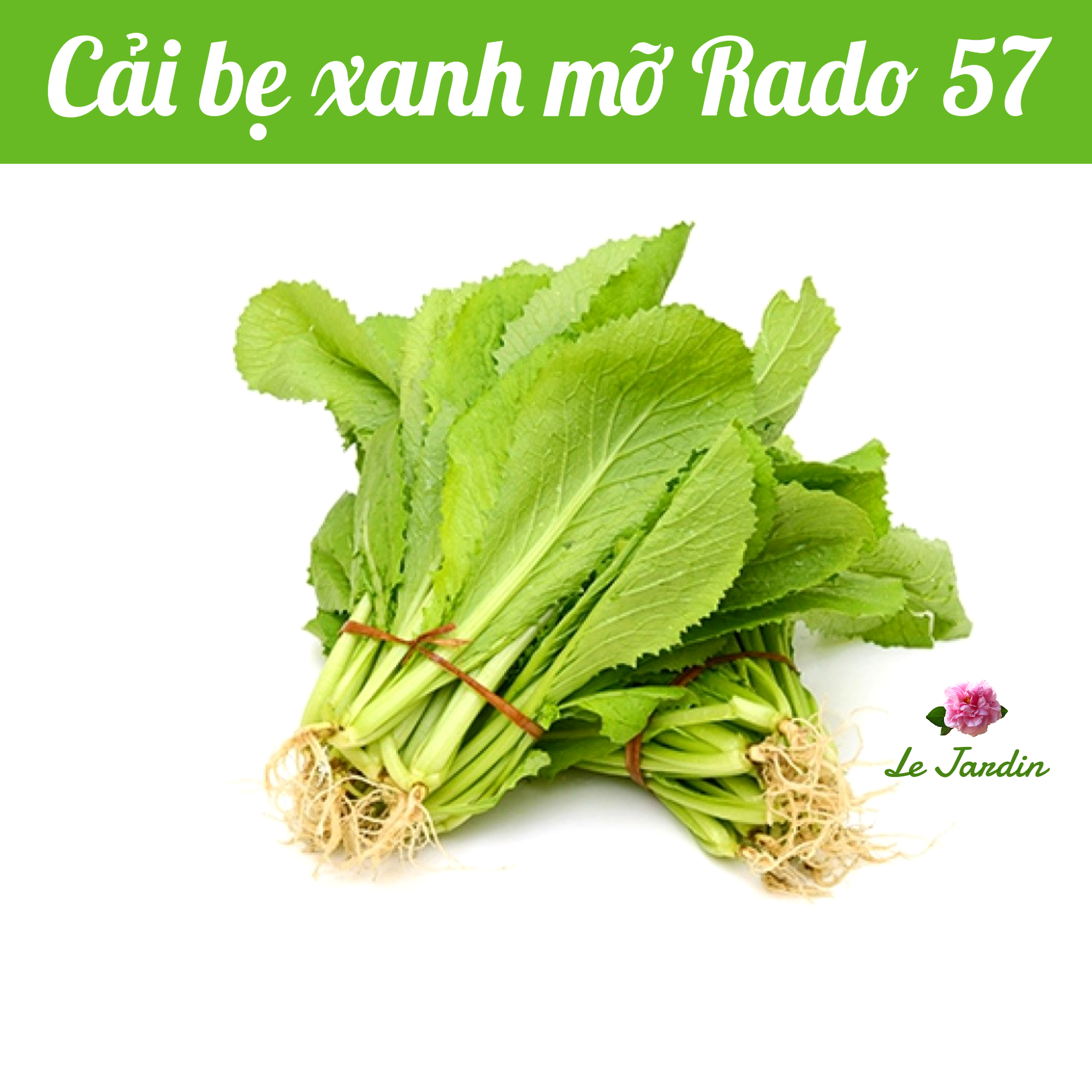 Mustard Green Seeds 20gr package