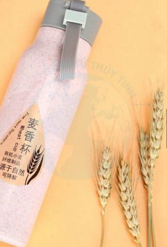 Bình Giữ Nhiệt Nhựa Lúa Mạch Lõi Thủy Tinh 350ml