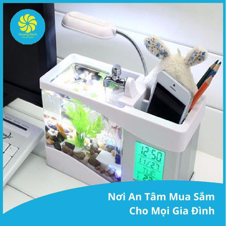 Bể cá mini để bàn - bể cá mini 2