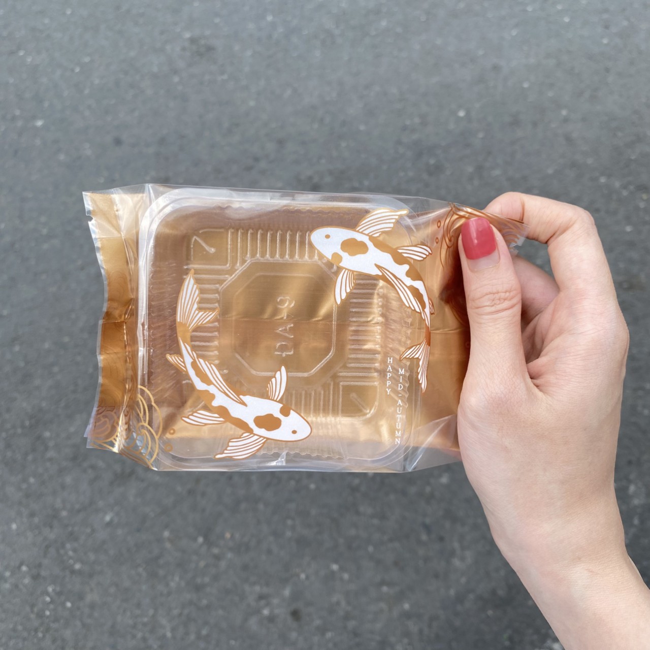 50 Khay và Túi ép nhiều mẫu (2 size) 9-10