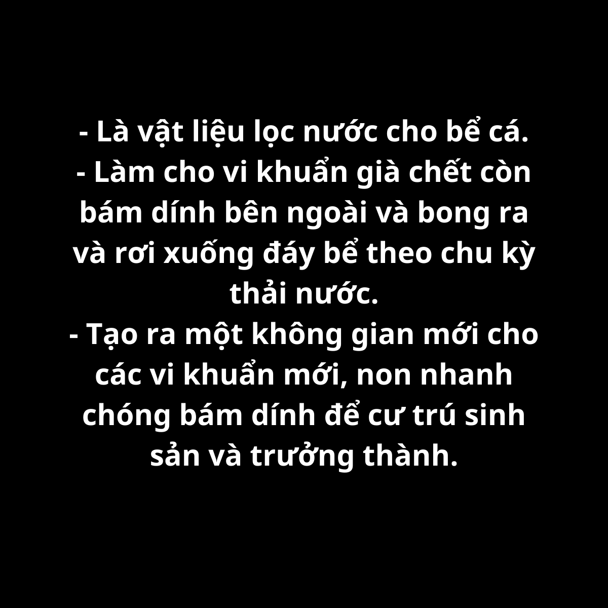 Hạt Lọc Kaldnes Micro 1kg (kanet) Cho Hồ Koi,Lọc Nước Bể Cá.