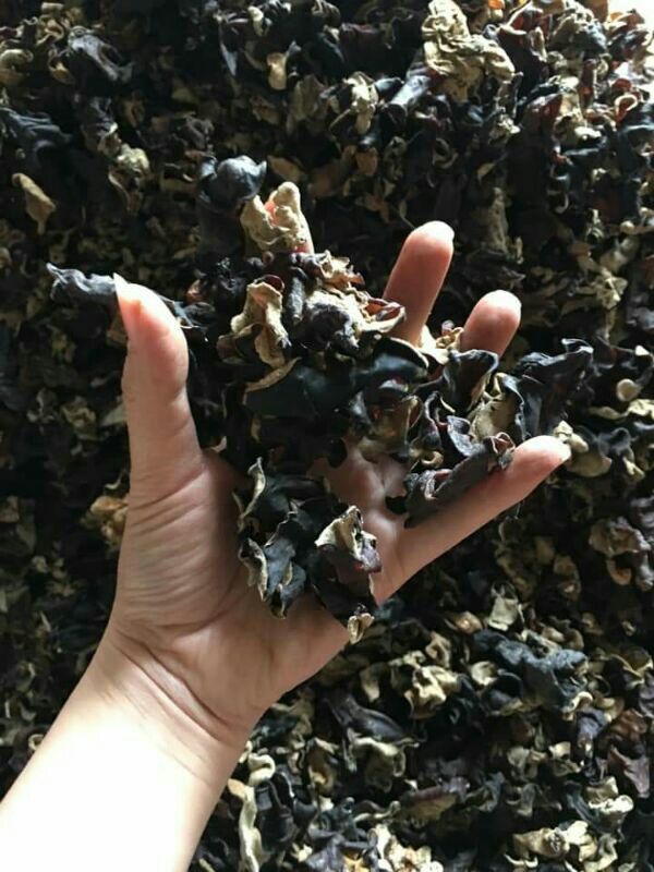 1kg mộc nhĩ rừng
