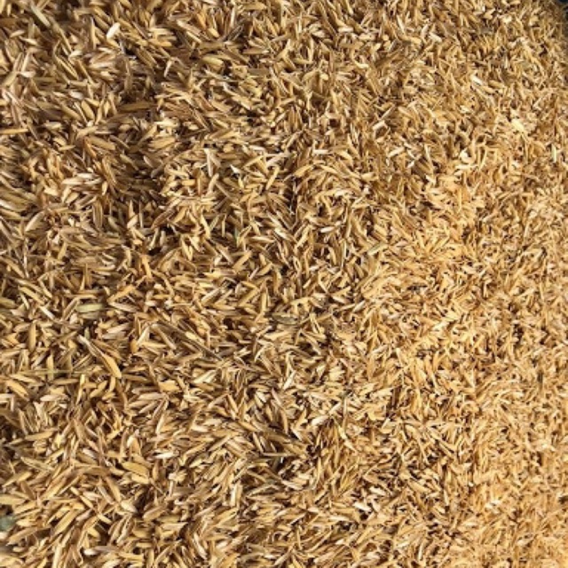 1 kg vỏ trấu trồng cây,lót chuồng cho chim,gà