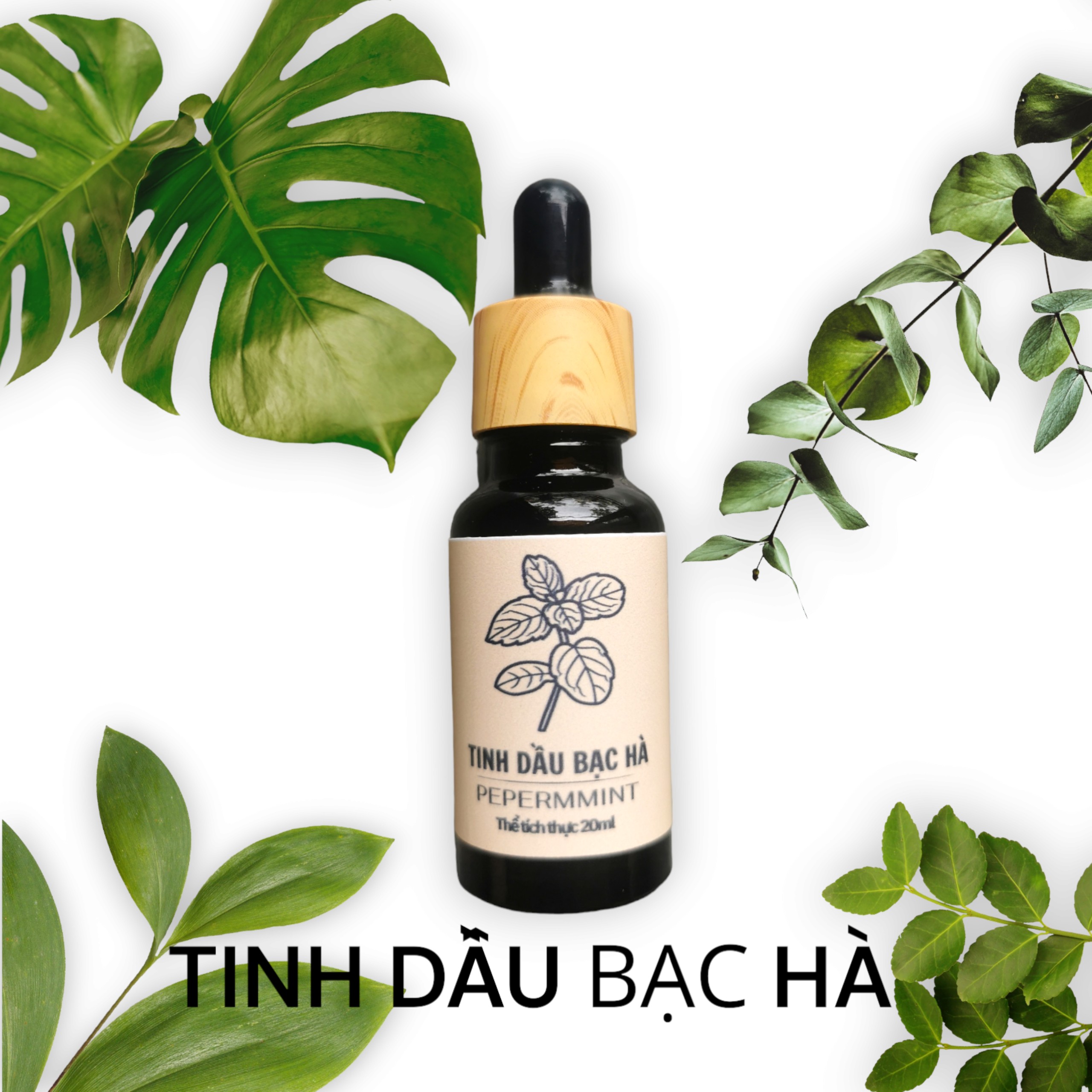 Tinh dầu bạc hà đậm đặc lọ 20ml