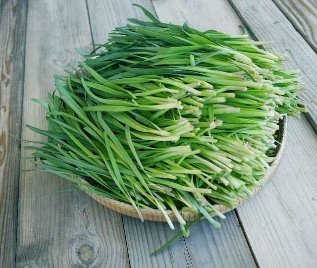 [HCM]Hạt Giống Hẹ Ta _gói 1gram .