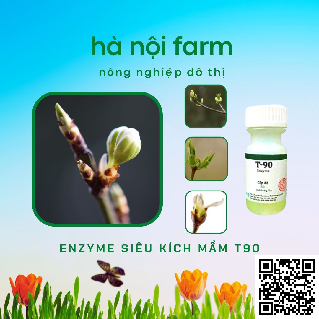 Kích mầm T90 chính hãng, kích mầm theo ý muốn, bật mầm tua tủa, cam kết hiệu quả 100%