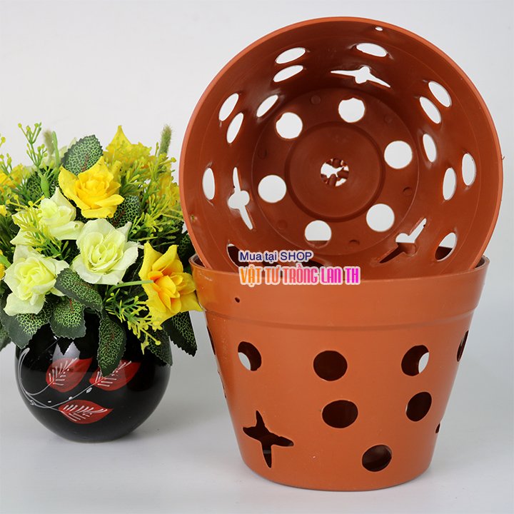 Chậu nhựa trồng lan, ươm kie phi 17