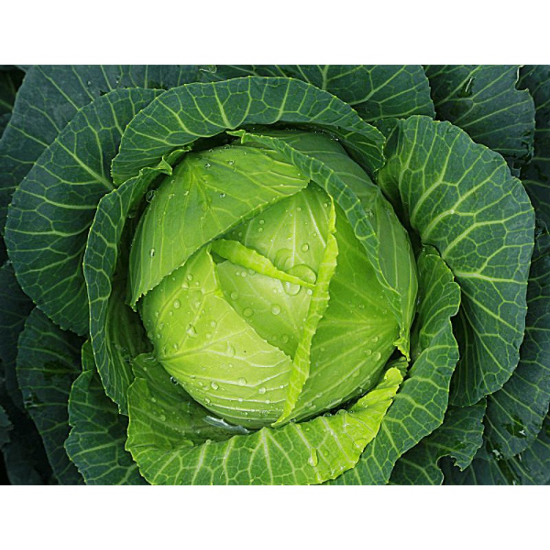 500g Phân gà viên nén Nhật Bản (xúc lẻ 500g đóng túi zip)