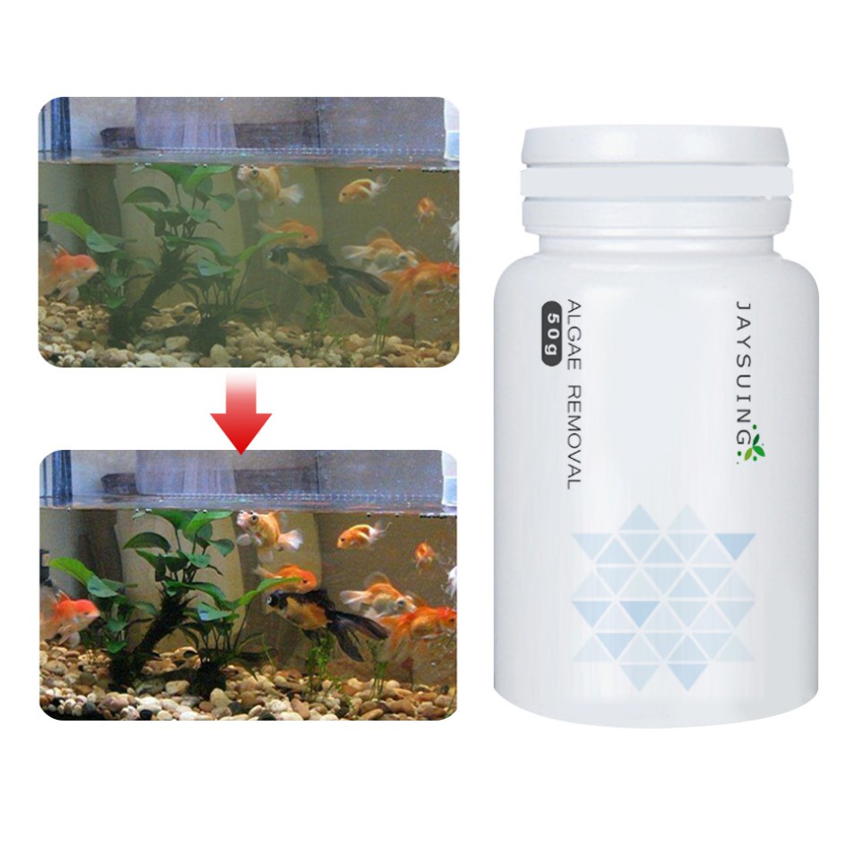 Thuốc Diệt Tảo Rêu Làm Đục Nước Bể Cá Tép Cảnh ALGAE REMOVAL (chai 50gr)