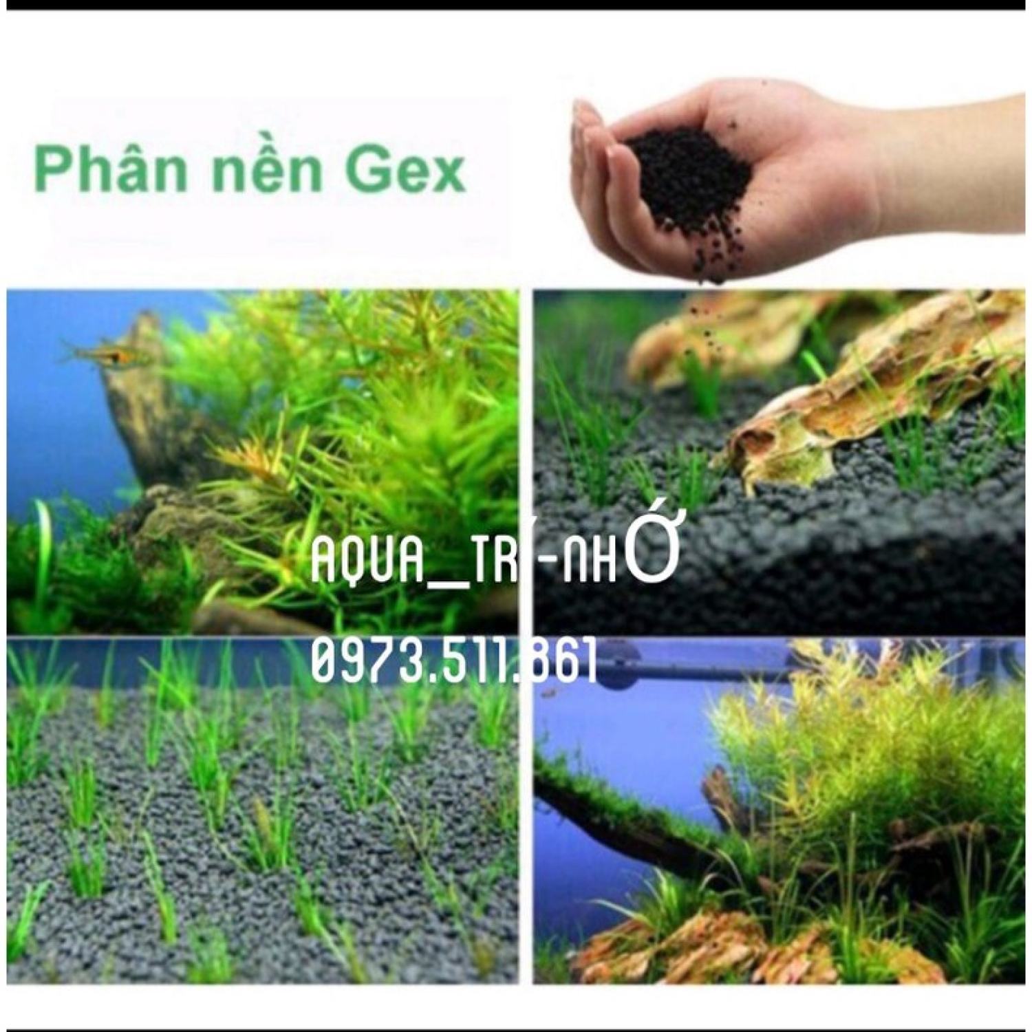 PHÂN NỀN GEX XANH 2KG