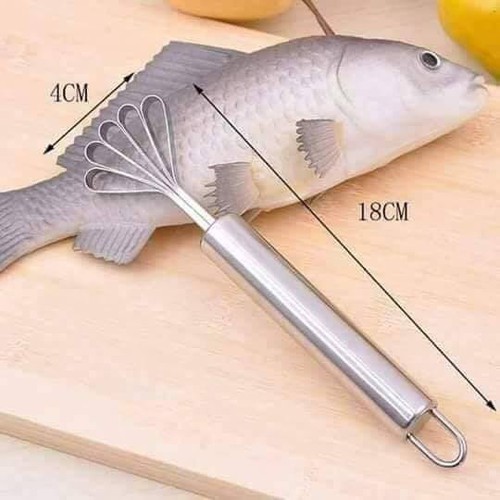 Fish Scale Removal Tool, Coconut Scraper