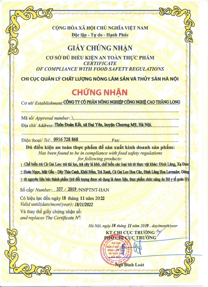 Trà cà gai leo túi lọc Sadu 10 bịch (2,5kg)