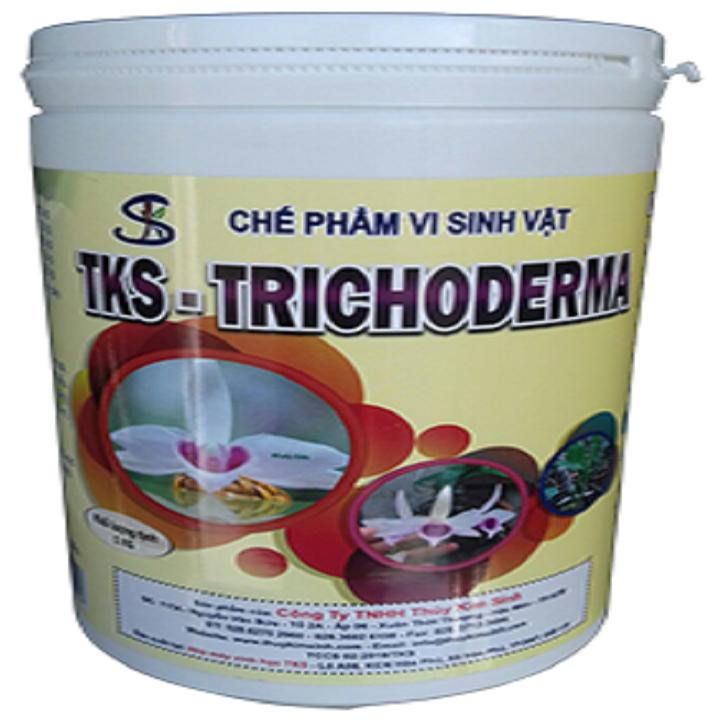 Nấm trichoderma - phân vi sinh vật của TKS
