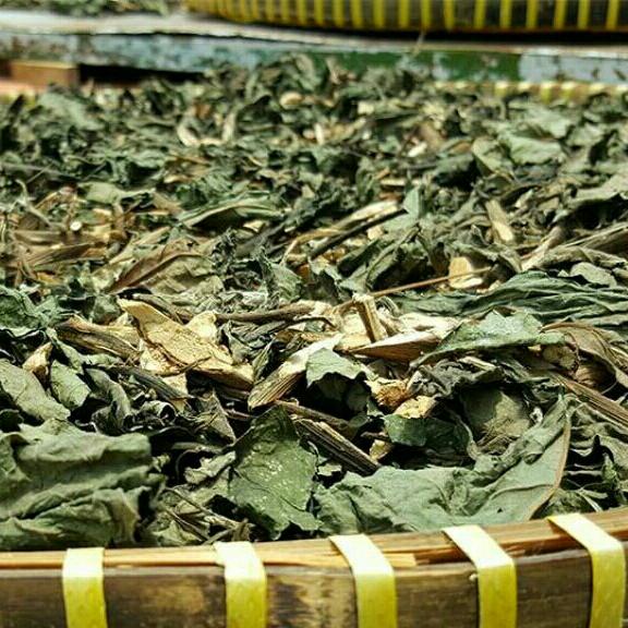 1kg lá đắng hay lá mật gấu
