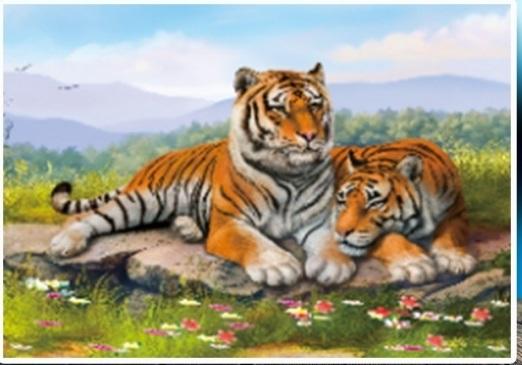 Tranh đính đá Lưỡng hổ tương phùng - LV181
