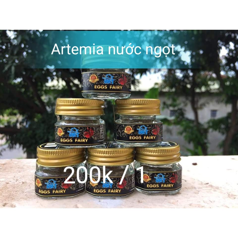 Artemia nước ngọt uht dạng hủ - artemia nuôi sinh khối - guppy xanh cam kết hàng đúng mô tả chất lượng đảm bảo an toàn đến sức khỏe người sử dụng đa dạng mẫu mã màu sắc kích cỡ