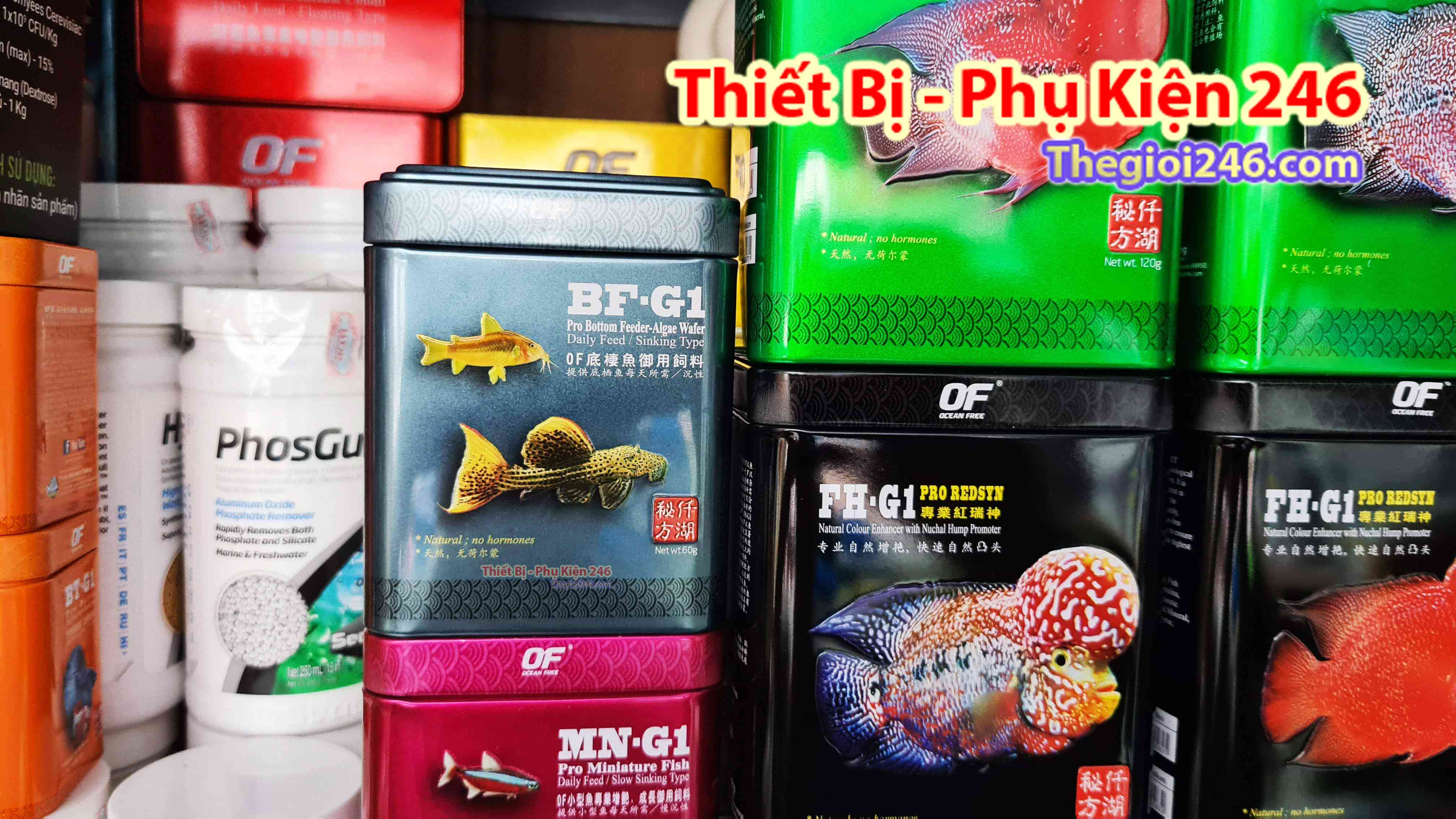Thức ăn cho cá Pleco và cá chuột cao cấp BF-G1