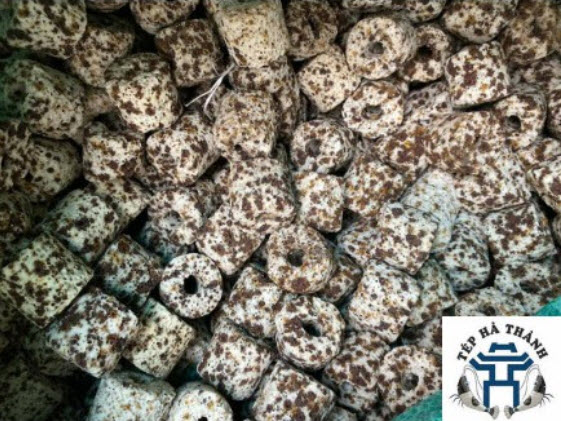 [Hoàn Tiền 10%] Vật Liệu Lọc Sứ Trụ Muối Tiêu