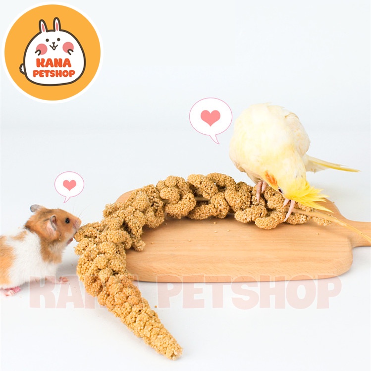 Kê Chùm Thức Ăn Bổ Dưỡng 🐶 FREE SHIP 🐶 Thức Ăn Dưỡng Lông Cho Hamter , Vẹt , Sóc , Sóc Bay Úc , Sóc Bắc Mỹ ....