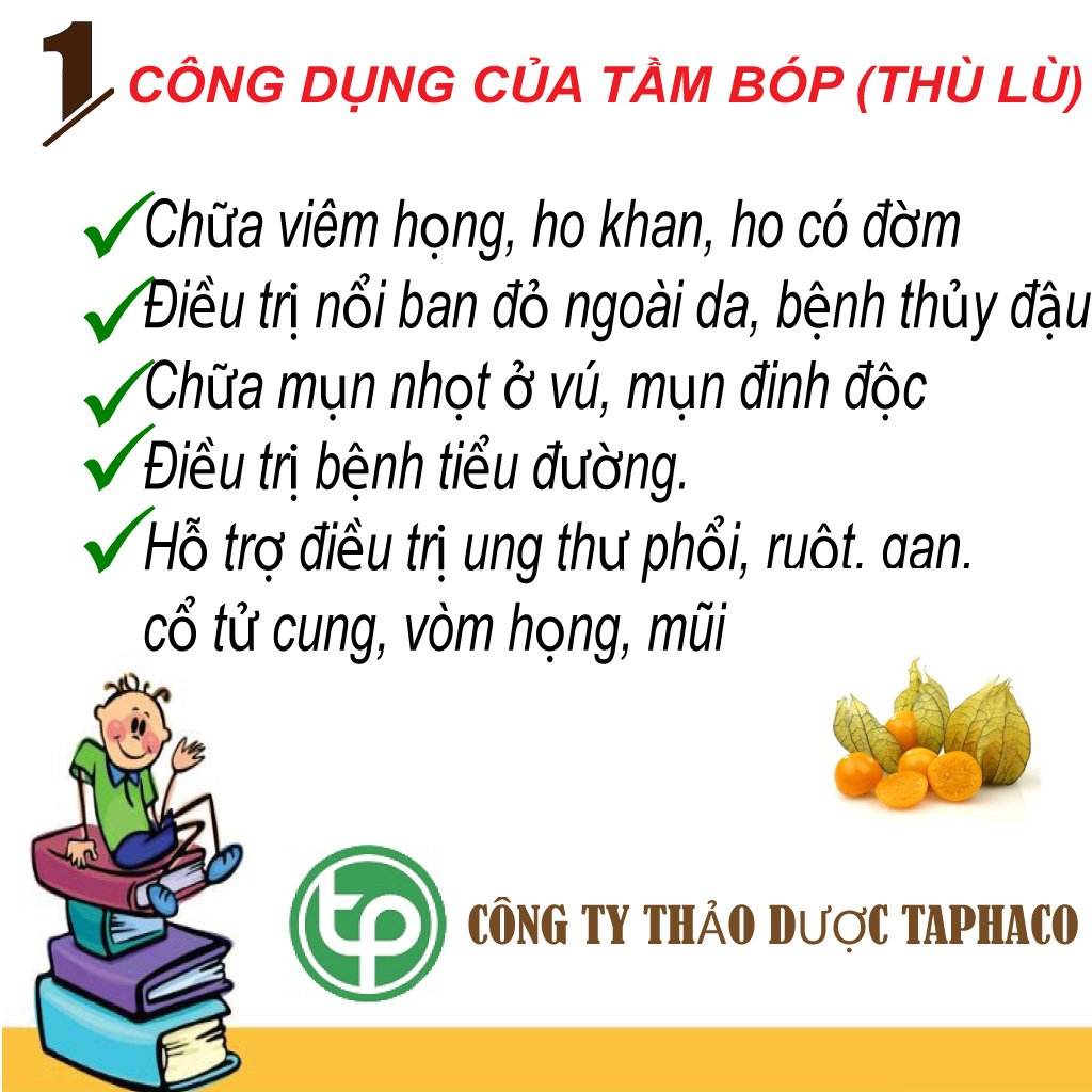 Cây thù lù (tầm bóp) sấy khô 1kg - tấn phát