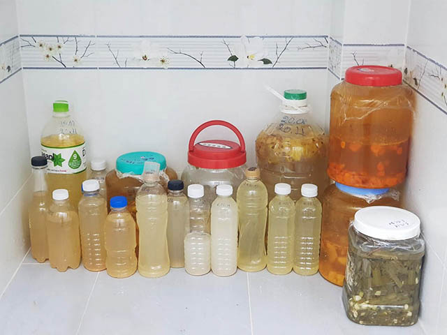 GE gừng siêu kích rễ kích mầm