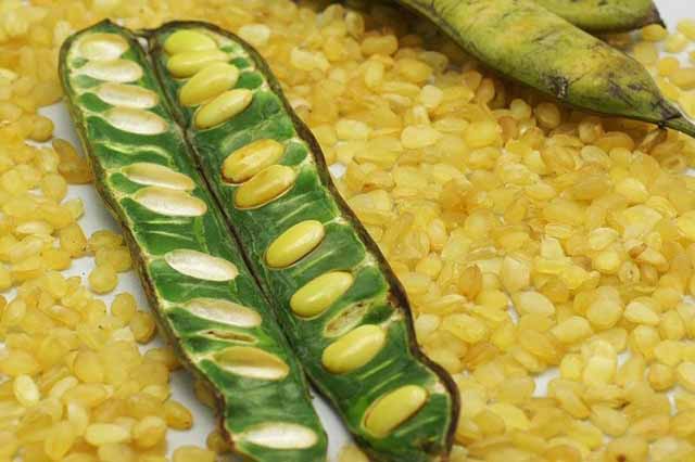 Bồ mể  khô loại ngon - 500g