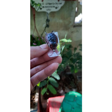 Mồi lure cá lóc thái lan