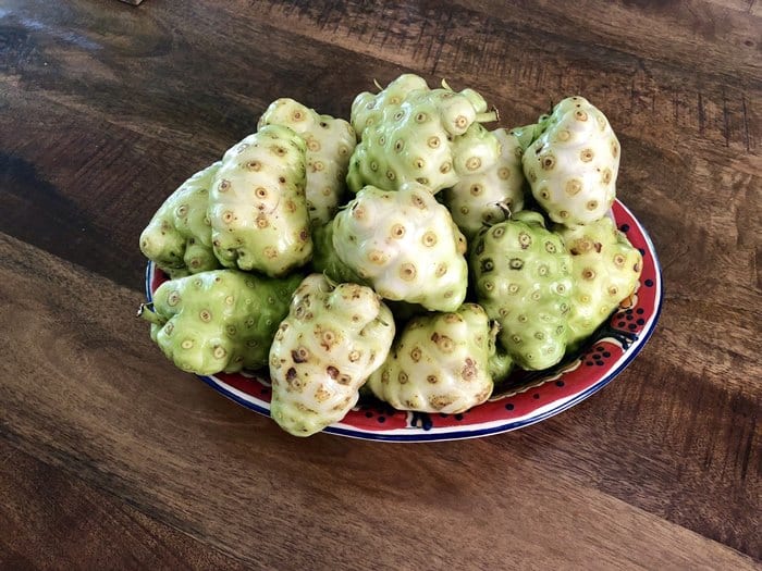 Quả Nhàu Sấy Khô [1 kg] - Hàng Loại 1