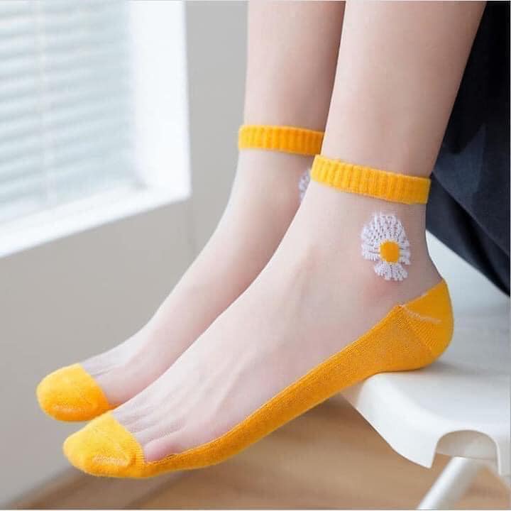 SET 10 ĐÔI Tất hoa cúc xinh xinh